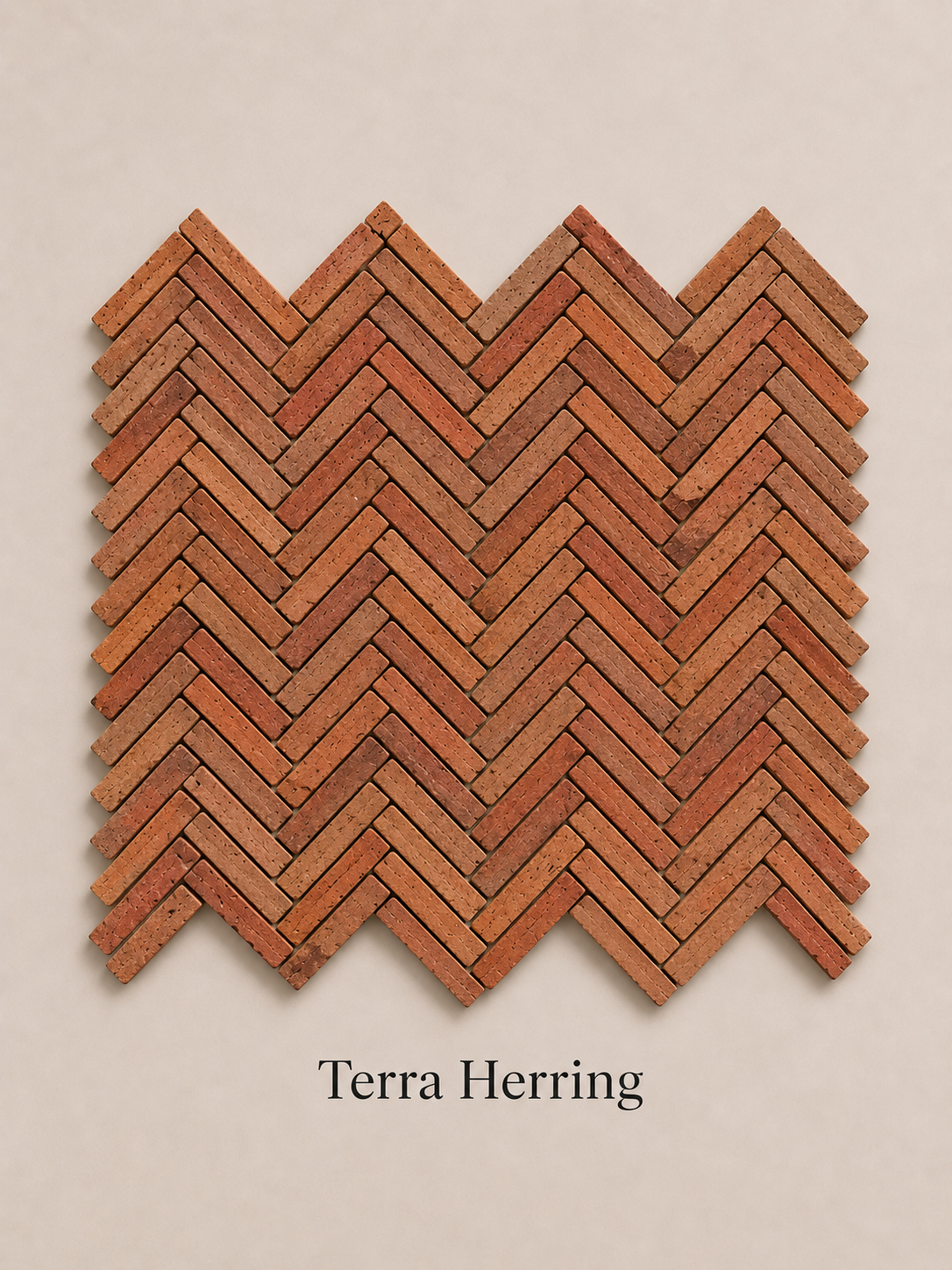 Terra Herring
